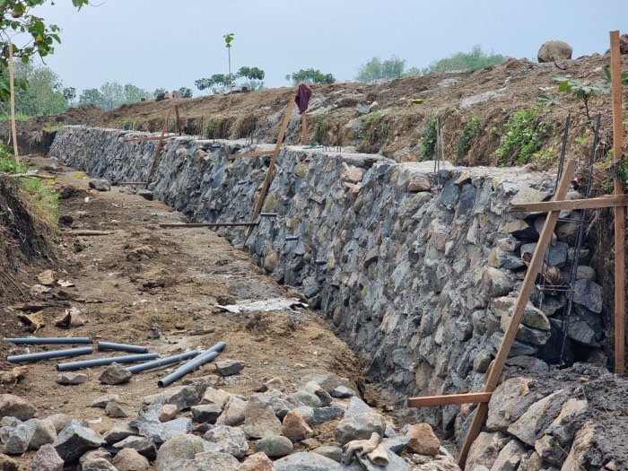 Urugan Paras Lahan Mojokerto — Mojokerto
